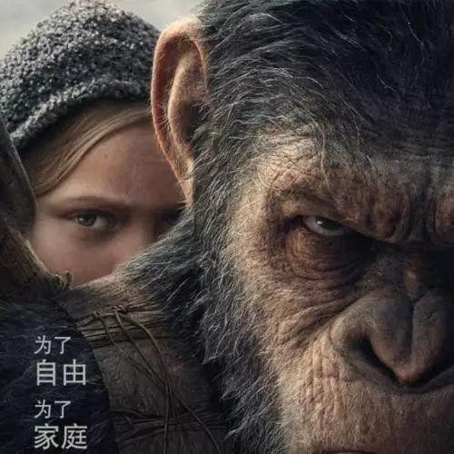 猩球崛起3电影院照片,终极之战影院震撼瞬间,猿族领袖凯撒引领新纪元 第3张 猩球崛起3电影院照片,终极之战影院震撼瞬间,猿族领袖凯撒引领新纪元 第3张